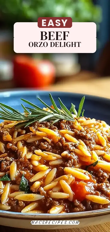 Pinterest pin 2 (Design 2) for Ground Beef Orzo Recipe